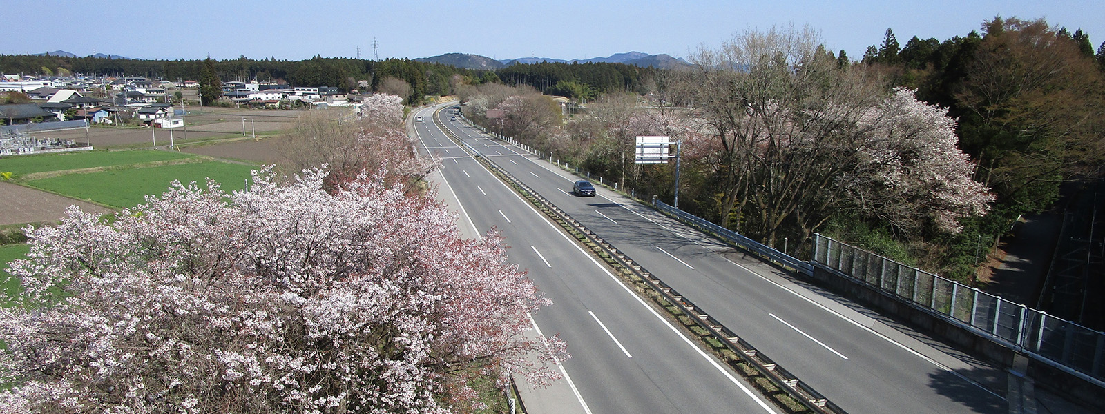 栃木県道路公社
