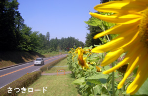 宇都宮鹿沼道路 さつきロード 栃木県道路公社